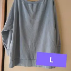 Item thumbnail for item 5339c55a-27bb-46a0-a622-cf85a43cee0e