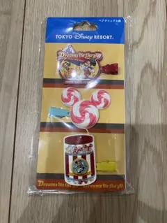 東京ディズニーリゾート ヘアクリップ
