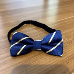 Item thumbnail for item 92c47d28-43b2-47da-89c9-16fe67689d70