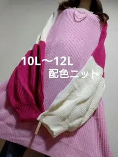 10l 大きいサイズ