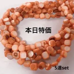 cp001/SALE！シェル◇丸っこいスクエア形　オレンジ5連set