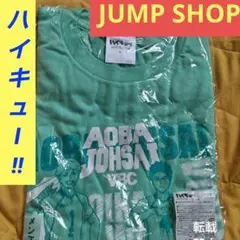 激レア】ハイスクールジャパンカップ 出場者限定 ロングTシャツ〈美品