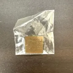 ヱヴァンゲリヲン新劇場版：序 NEWゼーレ ピンバッジ ピンズ