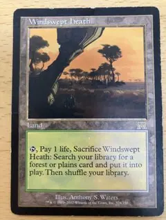 2026年最新】吹きさらしの荒野の人気アイテム - メルカリ