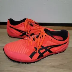 Item thumbnail for item d5dc85c3-5937-4977-91bf-07fdeaf186e5