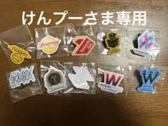 w-inds. ピンバッジ 10点セット 歴代ライブツアー メルカリ