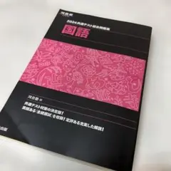 書込なし 2024 共通テスト総合問題集 国語 解答切り離し済み 裏表紙汚れ