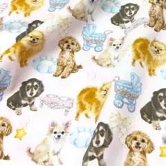 【オリジナル生地】小型犬Bキャリーカー柄　ピンク