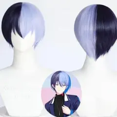【2点セット】プロジェクトセカイ 青柳冬弥 コスプレ ウィッグ♪かつら プロセカ