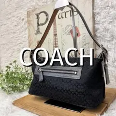 COACH コーチ ハンド ショルダー バッグ シグネチャー アクセサリーポーチ
