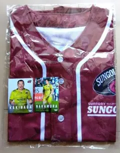 Item thumbnail for item ba069b7c-fd51-4280-9a25-8efe82f5d121