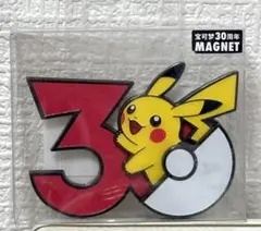 ピカチュウ マグネット 30周年 中国限定 ポケモン - メルカリ