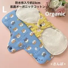 Item thumbnail for item fbf3a3bc-020a-44db-b279-0334e20aa02a