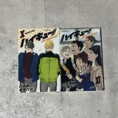 ハイキュー!! ショーセツバン!! 10,11巻セット