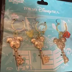 Disney Pirates Summer 2017鍵モチーフ キーチェーン