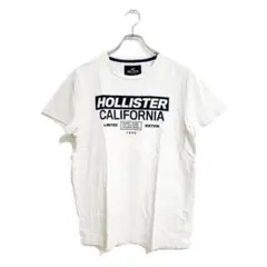 ホリスター 半袖Tシャツ M 白 カットソー 春夏 おしゃれ シンプル 薄手