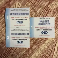 日本スキー　白馬　アミダス　MTBPARK 岩岳温泉　割引券