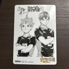 ハイキュー!! サイン入り 日向翔陽 影山飛雄 カード