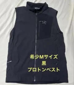 2026年最新】proton vestの人気アイテム - メルカリ