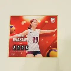 バレーボール女子日本代表2026 トレーディングmini色紙 岩澤実育