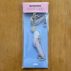 2025年最新】seventeen ジュンの人気アイテム - メルカリ