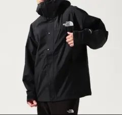 本日限定値下げTHE NORTH FACE マウンテンパーカー GORE-TEXのサムネイル