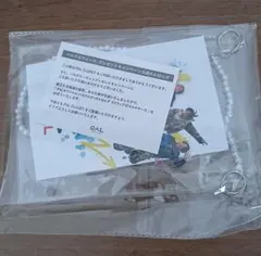 パルクロすっきゃねんず　ストラップ付マルチケース