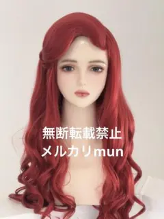 確認用 ヴァネッサイメージ ウィッグ - メルカリ