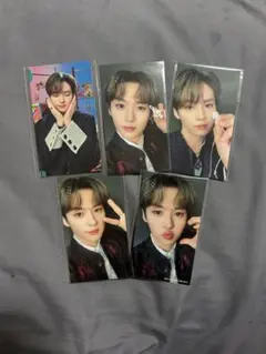 Straykids リノ トレカ 5枚セット THE SOUND