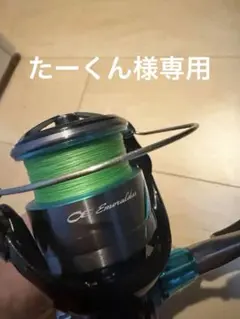 ダイワエメラルダスリール