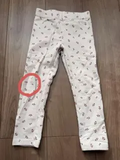 Item thumbnail for item 2401ad4f-4bdf-445b-af14-cd1b6678089e