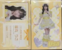 2026年最新】福丸うさ チェキの人気アイテム - メルカリ