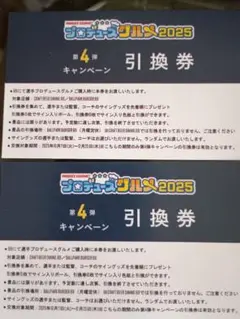 横浜DeNAベイスターズプロデュースグルメ2025 第4弾引換券　2枚セット