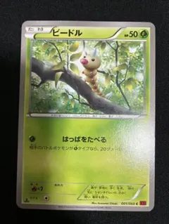 ビードル C XY1 コレクションY 001/060 2013年　レトロ