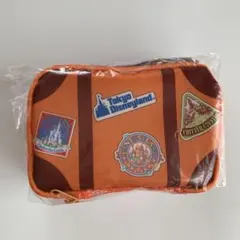 ディズニー　バケーションパッケージ　ポーチ、ミニタオルセット