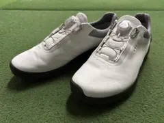 2026年最新】ecco biom g3の人気アイテム - メルカリ