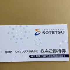 2026年最新】相鉄株主優待の人気アイテム - メルカリ