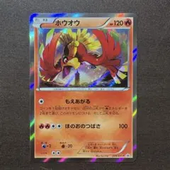 ホウオウ スペシャルセット ホウオウ+ルギア PROMO 224/XY-P