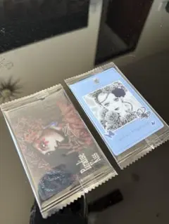 矢沢あいツインウエハースParadise Kiss２枚セット