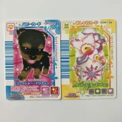 ワンタメカード パピーカード おしゃれカード 2枚セット