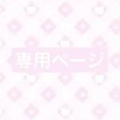 【 専用ページ 】【匿名配送】 様