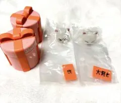 SKZOO ぷくっとバースデークリアリング ジニレット2種セット