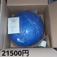 954*スライヴ バランスボーイ FD-009 ブルー 大東電機 フィットネス スライヴ バランスボーイ ブルー FD-009-BLフィットネス