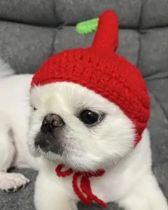 ピクミン風ペット用帽子　ハンドメイド