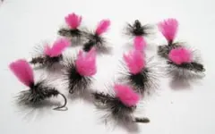 Item thumbnail for item 952307c2-b149-423d-a061-eaf62cb56326