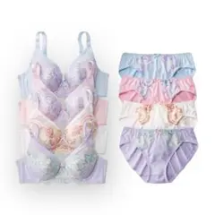 インナー 花柄 刺しゅう ブラジャー セット フルカップレディース 4枚組