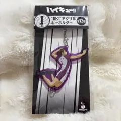 ハイキュー‼︎ 白鳥沢 牛島 / Happyくじ アクリルキーホルダー