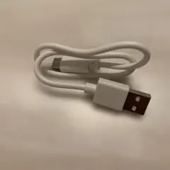 USB タイプC ホワイト