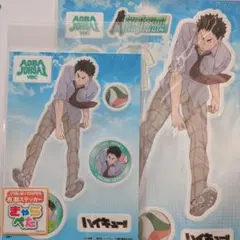 激レア 限定 2種セット 2.43 清陰高校男子バレー部 MIKASA コラボ 