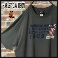 《人気》ハーレーダビッドソン　ハーレーt ビックサイズ　バックロゴ☆4L グレー